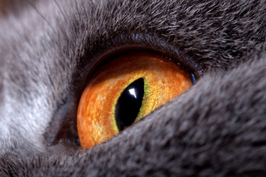 Similar image 1441541