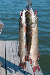 Similar image 1441595