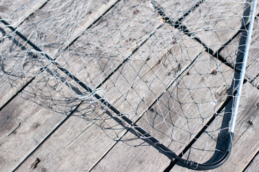 Similar image 1441603