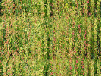 Similar image 1441667