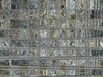 Similar image 1441672