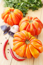 Similar image 1441724