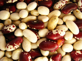 Similar image 1441737