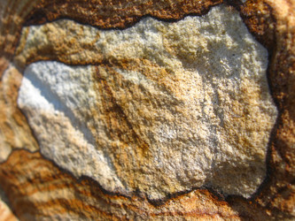 Similar image 1441738