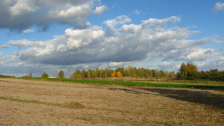 Similar image 1441752