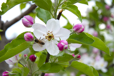 Similar image 1441812