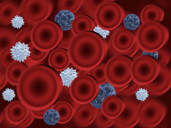 Similar image 1441829