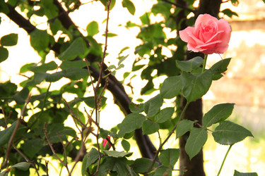 Similar image 1441833