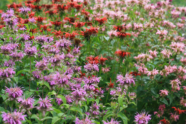 Similar image 1441858