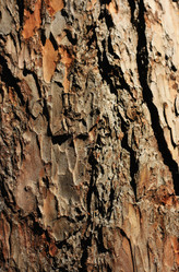 Similar image 1441884