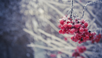 Similar image 1441888