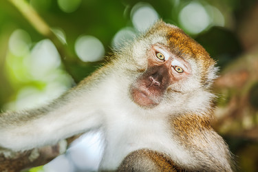 Similar image 1441899