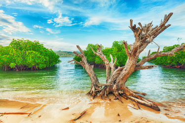 Similar image 1441902