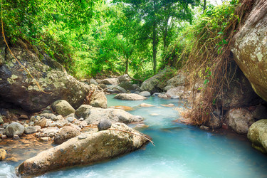 Similar image 1441904