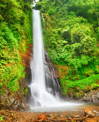 Similar image 1441905