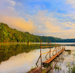 Similar image 1441907