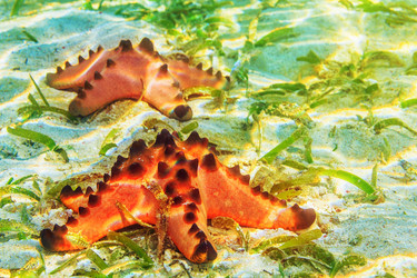 Similar image 1441910