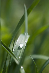 Similar image 1441957