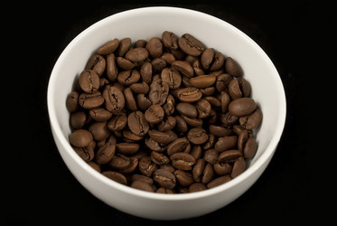 Similar image 1441961