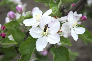 Similar image 1441973