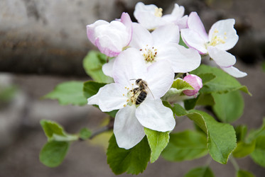 Similar image 1441974