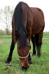 Similar image 1441983