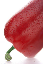 Similar image 1441990