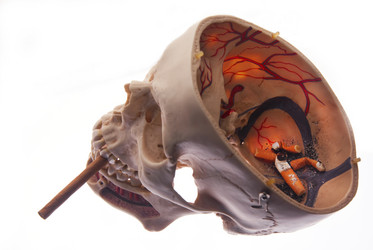 Similar image 1442008