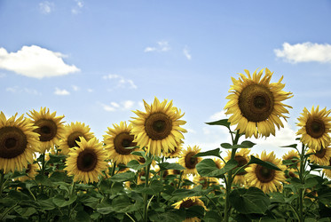 Similar image 1442026