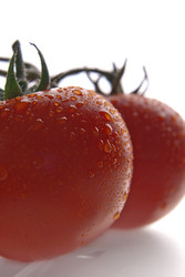 Similar image 1442027