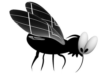 Similar image 1442181