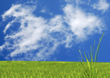 Similar image 1442182