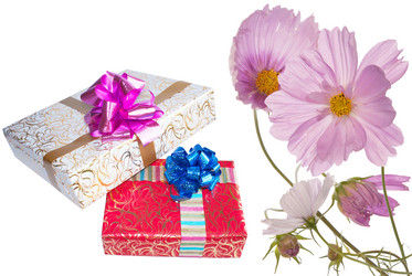 Similar image 1442192