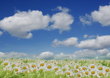 Similar image 1442208