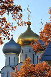 Similar image 1442219