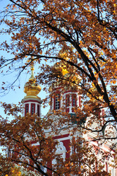 Similar image 1442221