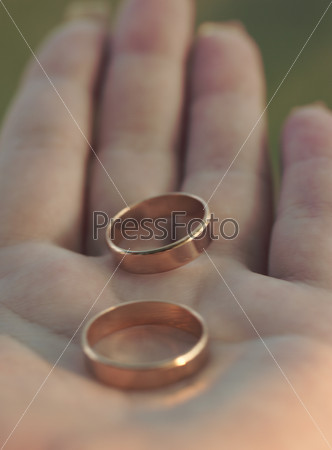 Фотография на тему Обручальные кольца лежат на ладони