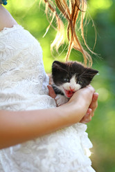 Similar image 1442272