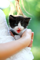 Similar image 1442311