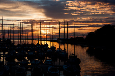 Similar image 1442353