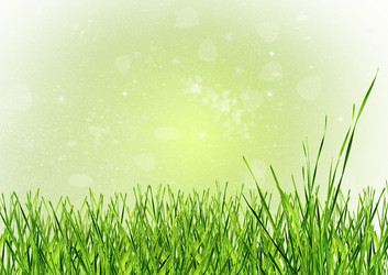 Similar image 1442388