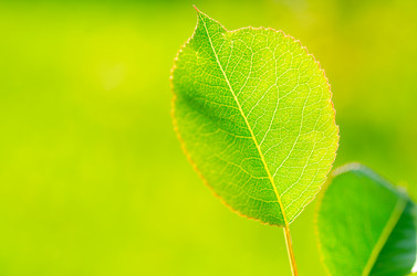 Similar image 1442411