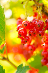 Similar image 1442412