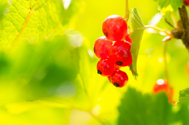 Similar image 1442413