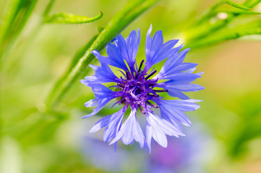 Similar image 1442415