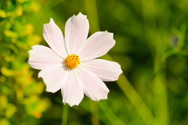 Similar image 1442416