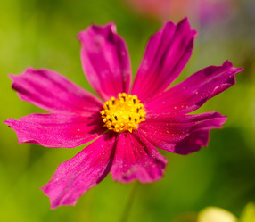 Similar image 1442417