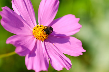 Similar image 1442426