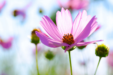 Similar image 1442427