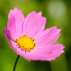 Similar image 1442428